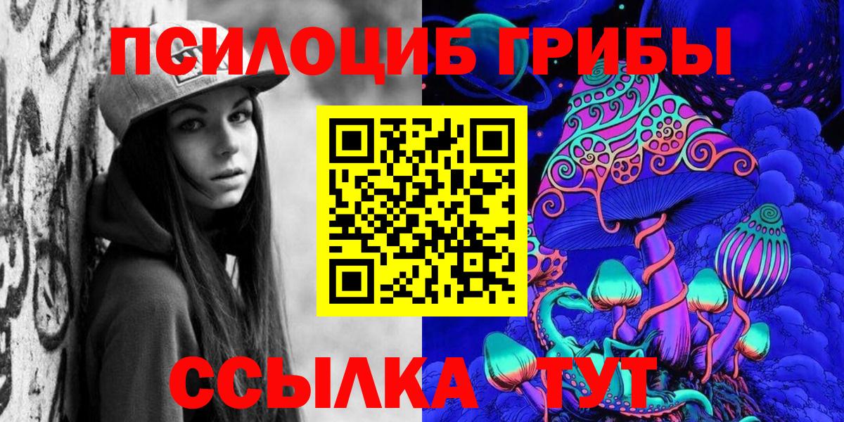 Зерноград  Псилоцибиновые грибы мицелий  Вход с VPN  Галлюциногенные грибы Psilocybe 